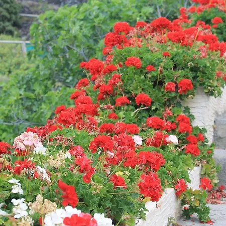 Dom wakacyjny Finca El Cantero