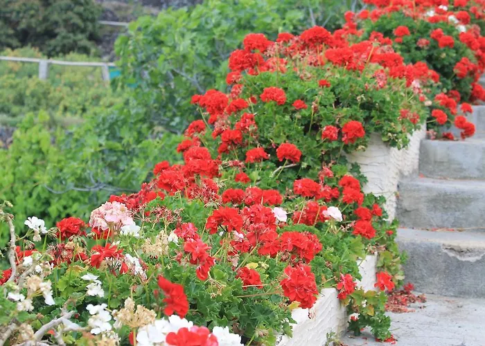 Σπίτι διακοπών Finca El Cantero